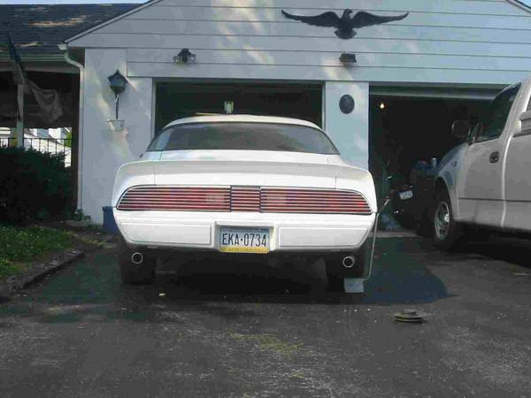 1979 Firebird Project