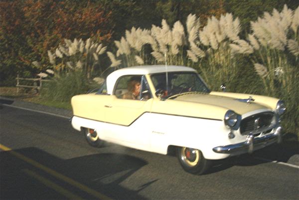 2478halloween_2003_082_lundgren-no