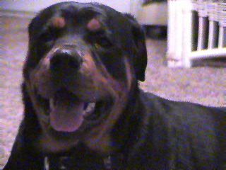 122502n05-6-17_21-27_