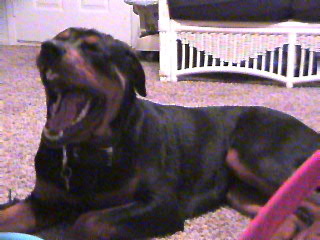 122503n05-6-17_21-28_