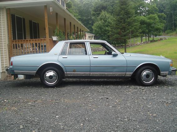 15174pooooooooooooooooop_003