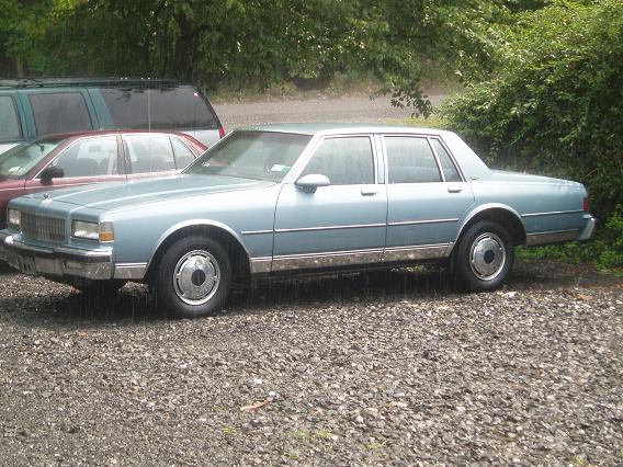 15174pooooooooooooooooop_006