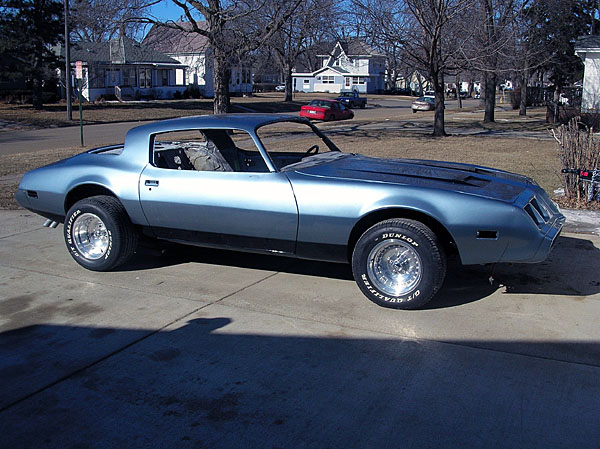 1575birdpaintedrtside