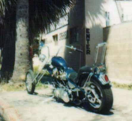 174257_gooseneck__2_