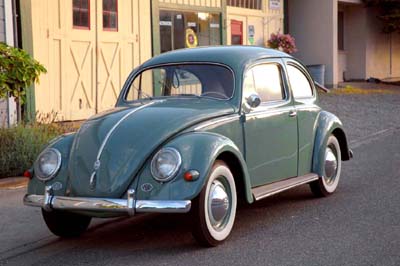 975959__bug___townsend_electric_copy