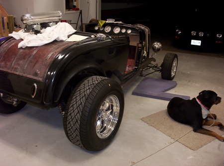 A8536874-AED8-8C0B-C6471F10C1861360