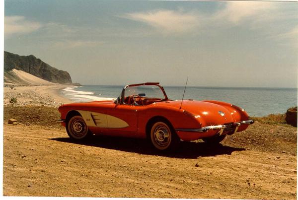 beach vette