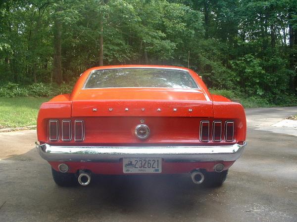 mustang_back