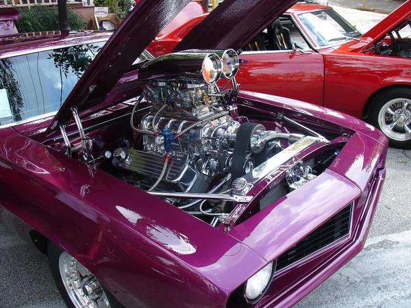 purple_camaro