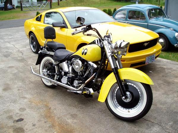 my fatboy mooneyes bike