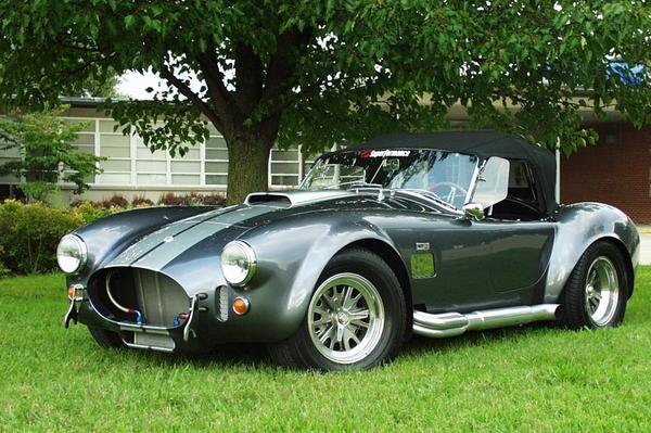 1965 Snake in the grass