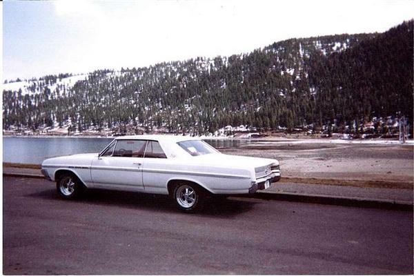 64buickskylark