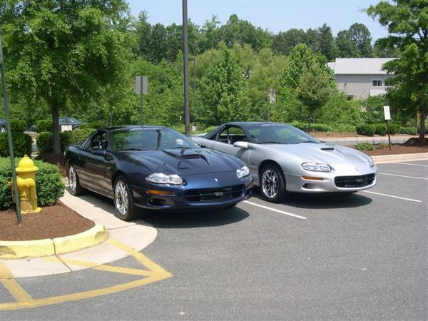 Our two '02 SLP SS's ... Bowie & Brutus