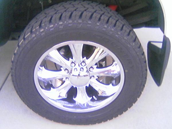 Waterskiers2  - New Wheels 2