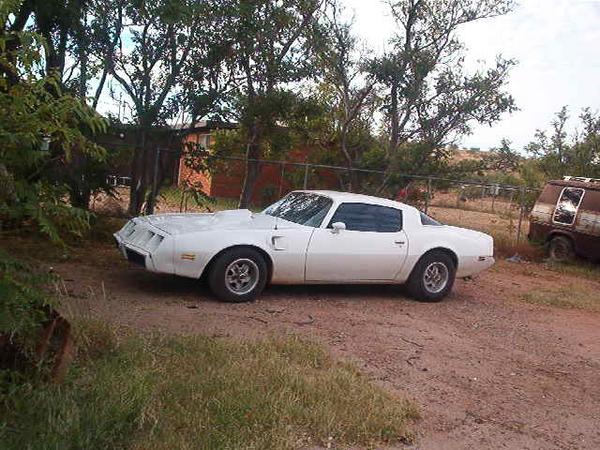81 FireBird TA Clone