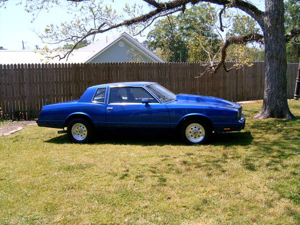 84 monte