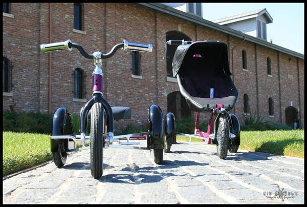 Kid Kustoms Roddler & Trike