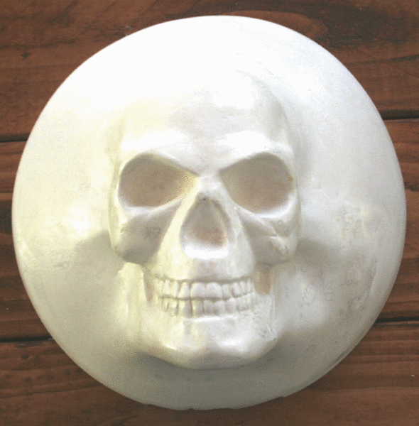 Skull rear end cover