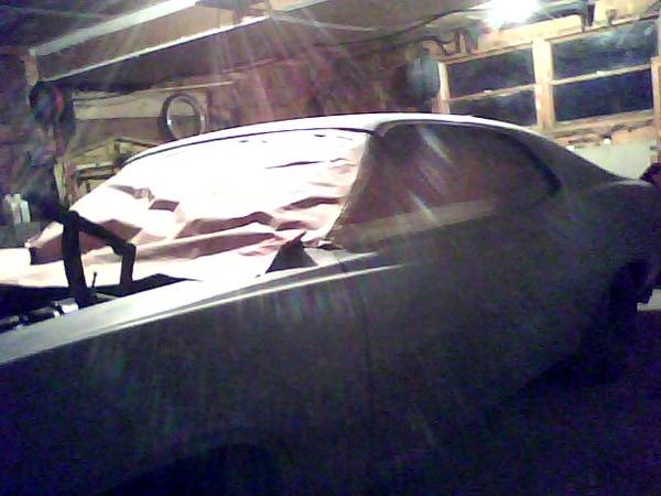 my torn apart sealed torino, sad