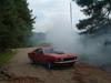 10793mustang_burnout.jpg