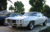 79471969_firebird_01.jpg