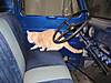 Chevy_the_cat_in_a_Ford.JPG