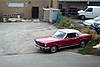 Mustang_JPG.jpg Mustang_JPG.jpg